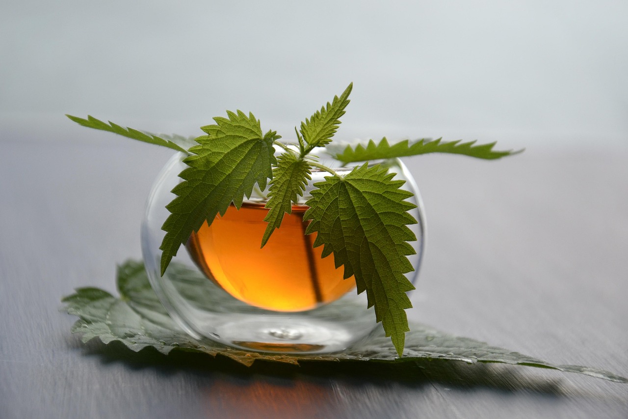 Herbal preparation workshop